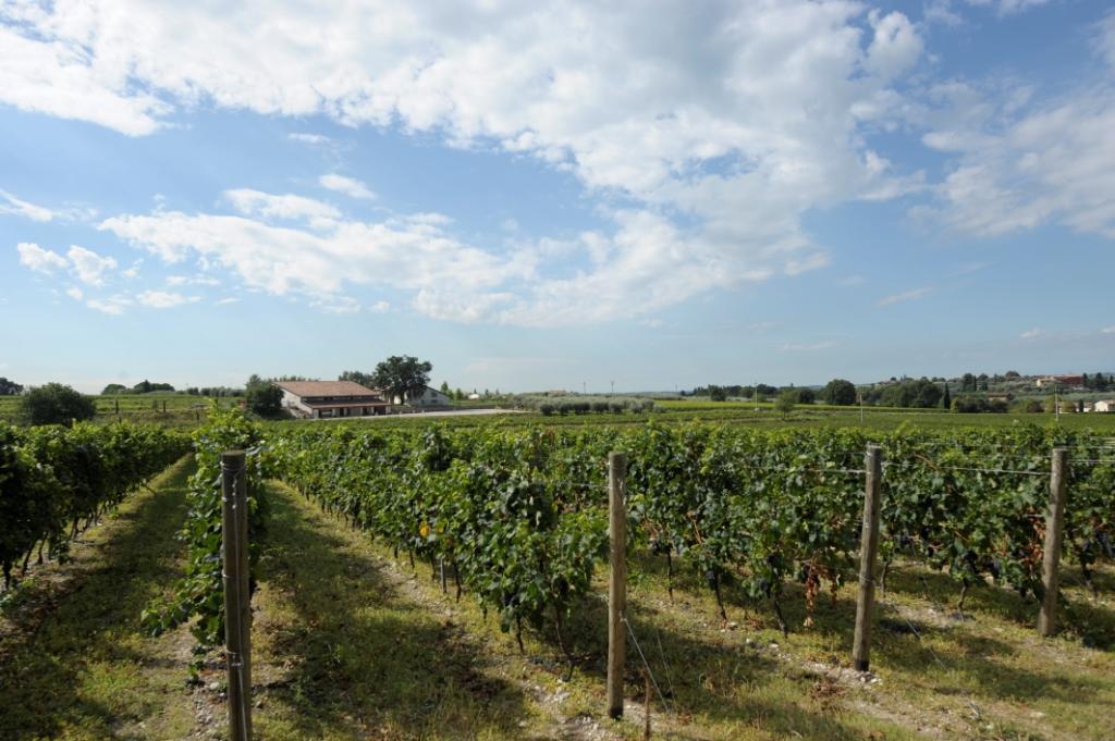 Tenuta La Ca บาร์โดลิโน ภายนอก รูปภาพ